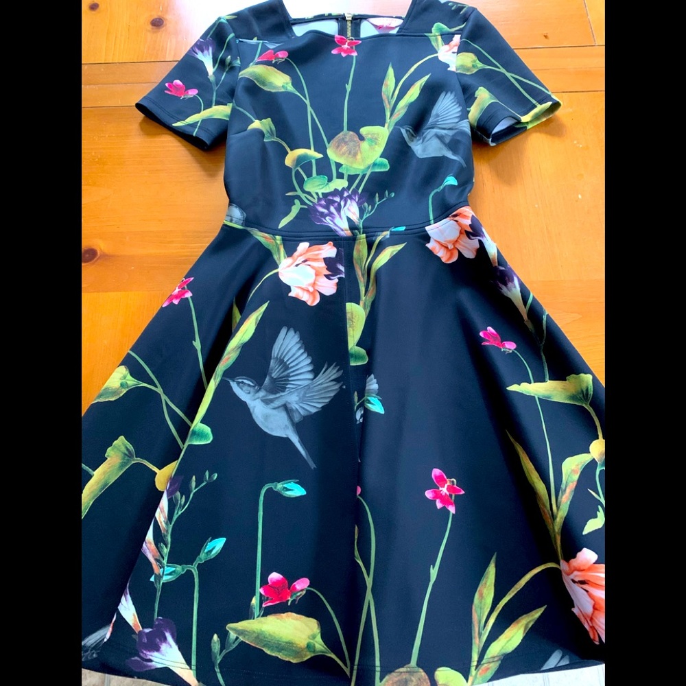 Ted Baker fit & flare dress